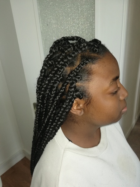 salon de coiffure afro tresse tresses box braids crochet braids vanilles tissages paris 75 77 78 91 92 93 94 95 EHDBUZAW