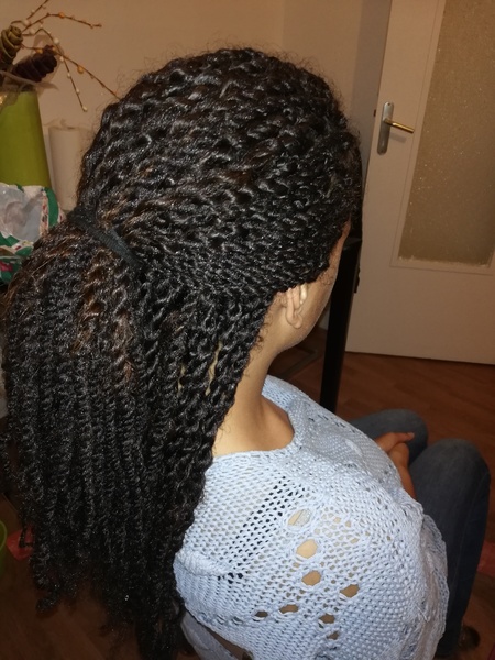 salon de coiffure afro tresse tresses box braids crochet braids vanilles tissages paris 75 77 78 91 92 93 94 95 UMHWTSFH