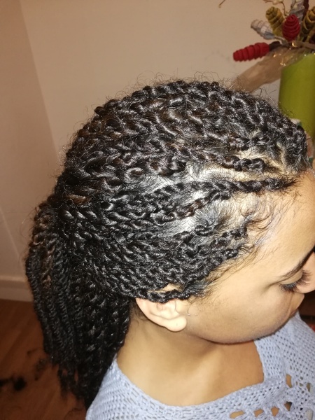 salon de coiffure afro tresse tresses box braids crochet braids vanilles tissages paris 75 77 78 91 92 93 94 95 NSXAPYTC