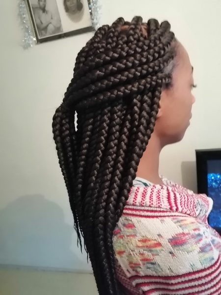 salon de coiffure afro tresse tresses box braids crochet braids vanilles tissages paris 75 77 78 91 92 93 94 95 OGIATICD