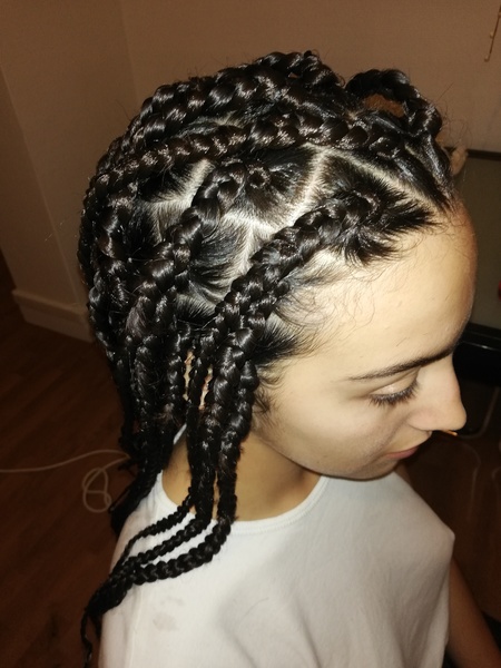 salon de coiffure afro tresse tresses box braids crochet braids vanilles tissages paris 75 77 78 91 92 93 94 95 XNIUZECO