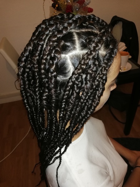 salon de coiffure afro tresse tresses box braids crochet braids vanilles tissages paris 75 77 78 91 92 93 94 95 CIYNVJKE