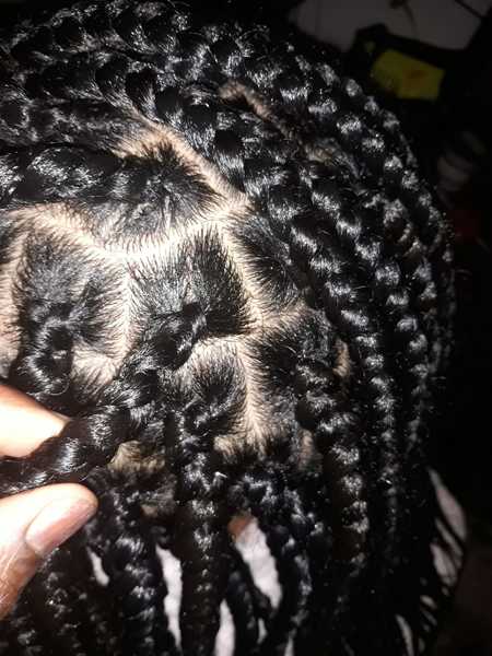 salon de coiffure afro tresse tresses box braids crochet braids vanilles tissages paris 75 77 78 91 92 93 94 95 JGSUNRTZ