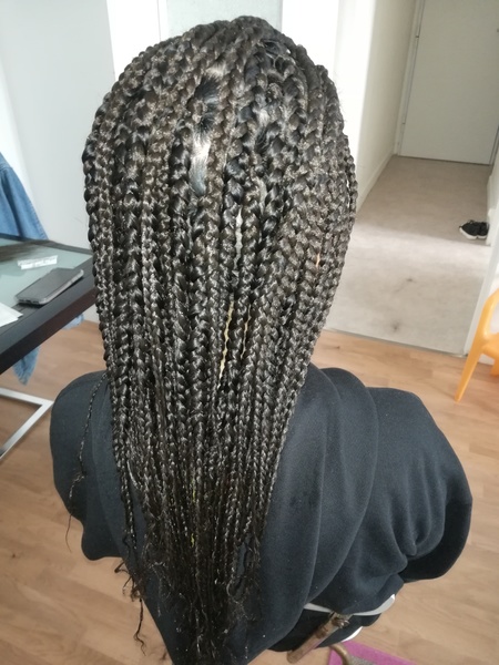 salon de coiffure afro tresse tresses box braids crochet braids vanilles tissages paris 75 77 78 91 92 93 94 95 LXFTBKCK