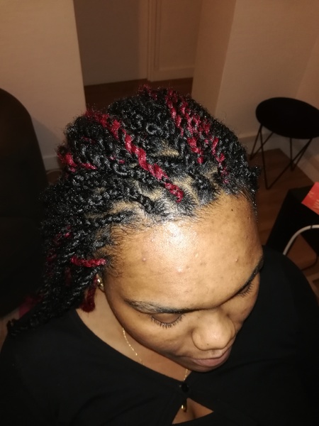 salon de coiffure afro tresse tresses box braids crochet braids vanilles tissages paris 75 77 78 91 92 93 94 95 EXKPSLIO