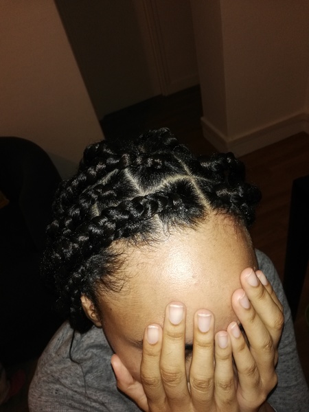 salon de coiffure afro tresse tresses box braids crochet braids vanilles tissages paris 75 77 78 91 92 93 94 95 THASGSDY