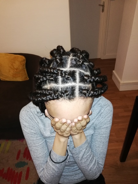 salon de coiffure afro tresse tresses box braids crochet braids vanilles tissages paris 75 77 78 91 92 93 94 95 DITSGCJM