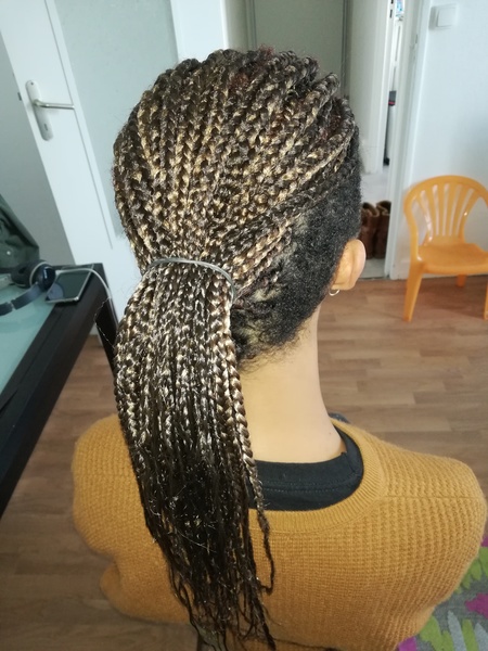 salon de coiffure afro tresse tresses box braids crochet braids vanilles tissages paris 75 77 78 91 92 93 94 95 EFLIWQIK