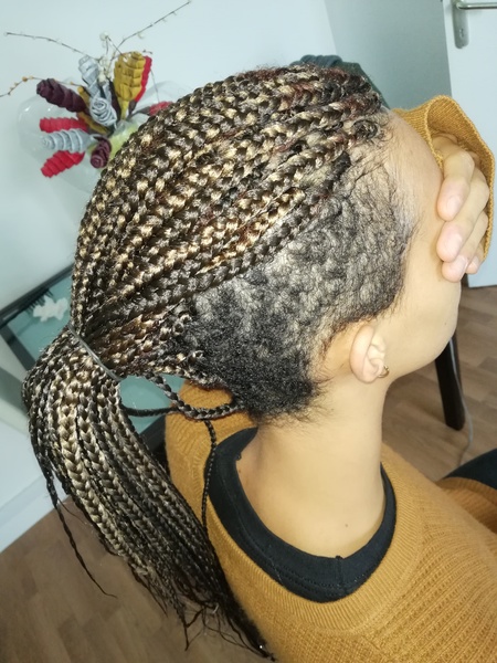 salon de coiffure afro tresse tresses box braids crochet braids vanilles tissages paris 75 77 78 91 92 93 94 95 UCPUCUDT