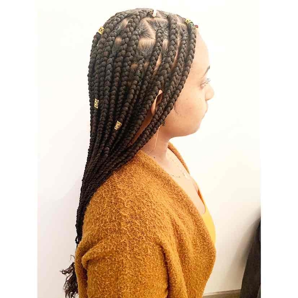 salon de coiffure afro tresse tresses box braids crochet braids vanilles tissages paris 75 77 78 91 92 93 94 95 FBXJCHCW