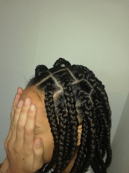 salon de coiffure afro tresse tresses box braids crochet braids vanilles tissages paris 75 77 78 91 92 93 94 95 DGGAZXCM