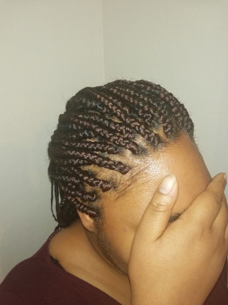salon de coiffure afro tresse tresses box braids crochet braids vanilles tissages paris 75 77 78 91 92 93 94 95 ZIJINHDA