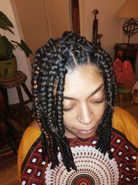 salon de coiffure afro tresse tresses box braids crochet braids vanilles tissages paris 75 77 78 91 92 93 94 95 XVLKCEBV