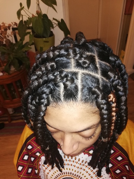 salon de coiffure afro tresse tresses box braids crochet braids vanilles tissages paris 75 77 78 91 92 93 94 95 JNFXCTKX