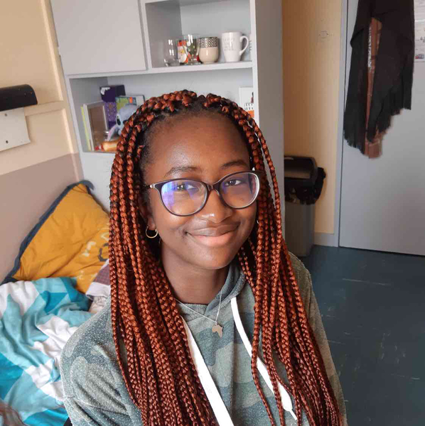 salon de coiffure afro tresse tresses box braids crochet braids vanilles tissages paris 75 77 78 91 92 93 94 95 VJVHBDPQ