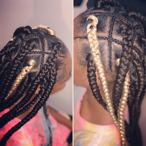 salon de coiffure afro tresse tresses box braids crochet braids vanilles tissages paris 75 77 78 91 92 93 94 95 QOAJJDZH