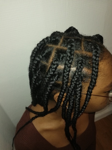 salon de coiffure afro tresse tresses box braids crochet braids vanilles tissages paris 75 77 78 91 92 93 94 95 XJDPAHLV