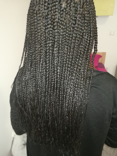 salon de coiffure afro tresse tresses box braids crochet braids vanilles tissages paris 75 77 78 91 92 93 94 95 NTYBDRDS