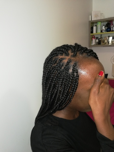 salon de coiffure afro tresse tresses box braids crochet braids vanilles tissages paris 75 77 78 91 92 93 94 95 EONJQVHD