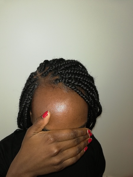 salon de coiffure afro tresse tresses box braids crochet braids vanilles tissages paris 75 77 78 91 92 93 94 95 BALYTSZH