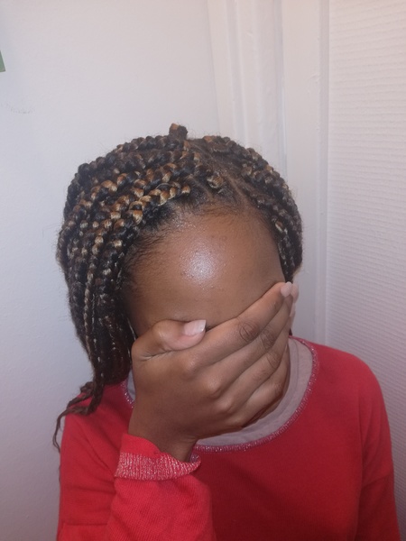 salon de coiffure afro tresse tresses box braids crochet braids vanilles tissages paris 75 77 78 91 92 93 94 95 JAGKNGUJ