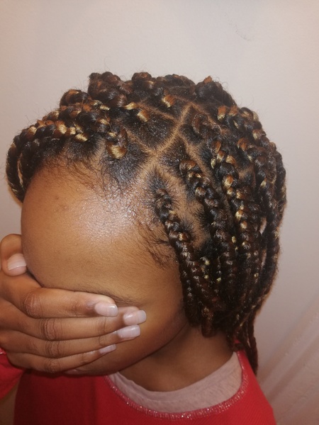 salon de coiffure afro tresse tresses box braids crochet braids vanilles tissages paris 75 77 78 91 92 93 94 95 PSMBEGET
