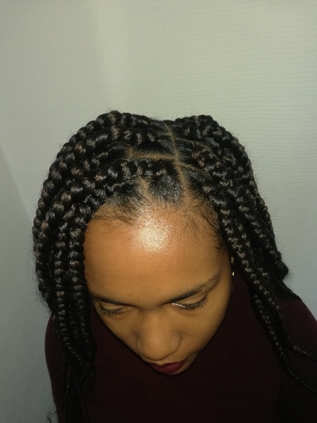 salon de coiffure afro tresse tresses box braids crochet braids vanilles tissages paris 75 77 78 91 92 93 94 95 LGZKHMPL