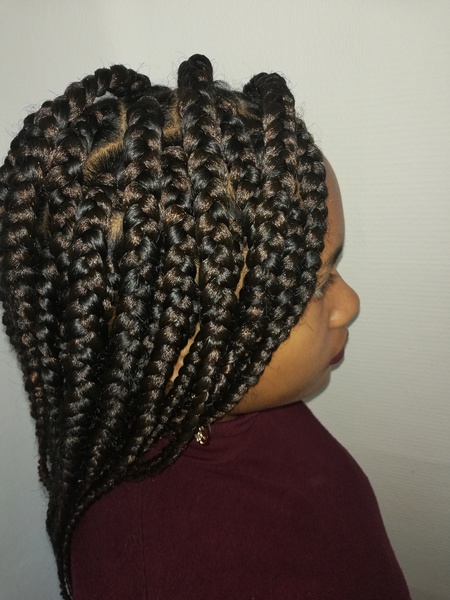 salon de coiffure afro tresse tresses box braids crochet braids vanilles tissages paris 75 77 78 91 92 93 94 95 TVAGDSSK