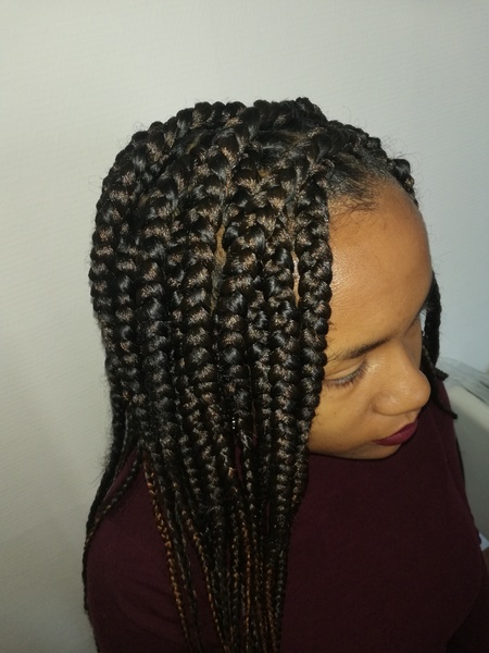 salon de coiffure afro tresse tresses box braids crochet braids vanilles tissages paris 75 77 78 91 92 93 94 95 LTBVZIHQ