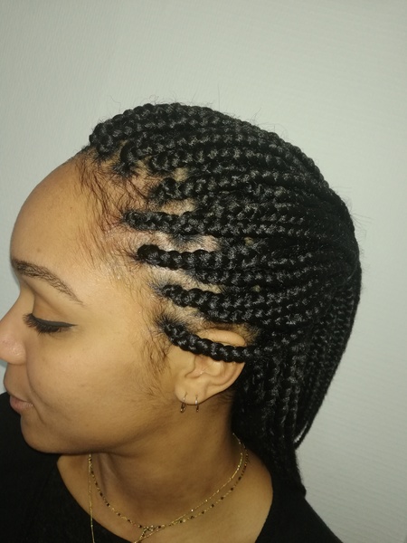 salon de coiffure afro tresse tresses box braids crochet braids vanilles tissages paris 75 77 78 91 92 93 94 95 HNHXWVLL