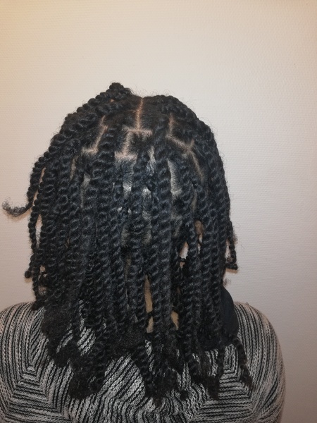 salon de coiffure afro tresse tresses box braids crochet braids vanilles tissages paris 75 77 78 91 92 93 94 95 HXJVRGXZ