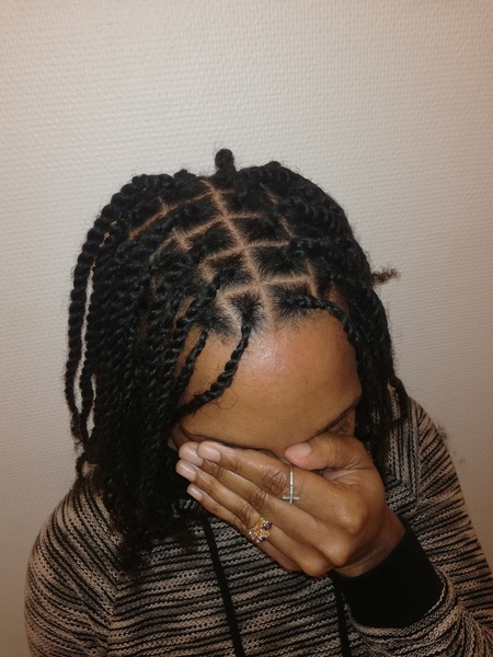 salon de coiffure afro tresse tresses box braids crochet braids vanilles tissages paris 75 77 78 91 92 93 94 95 ZPDHHBBA