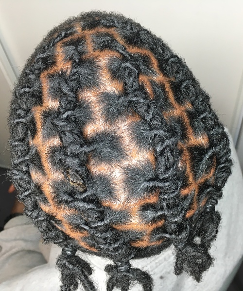 salon de coiffure afro tresse tresses box braids crochet braids vanilles tissages paris 75 77 78 91 92 93 94 95 OYVOPECP