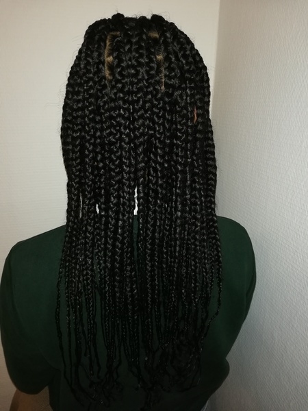 salon de coiffure afro tresse tresses box braids crochet braids vanilles tissages paris 75 77 78 91 92 93 94 95 YXXJKIKF