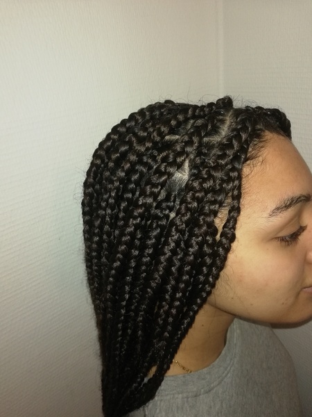 salon de coiffure afro tresse tresses box braids crochet braids vanilles tissages paris 75 77 78 91 92 93 94 95 XOCENEFS