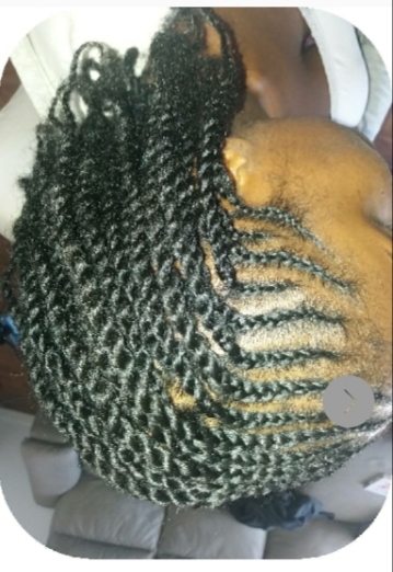 salon de coiffure afro tresse tresses box braids crochet braids vanilles tissages paris 75 77 78 91 92 93 94 95 TEBUIJWD