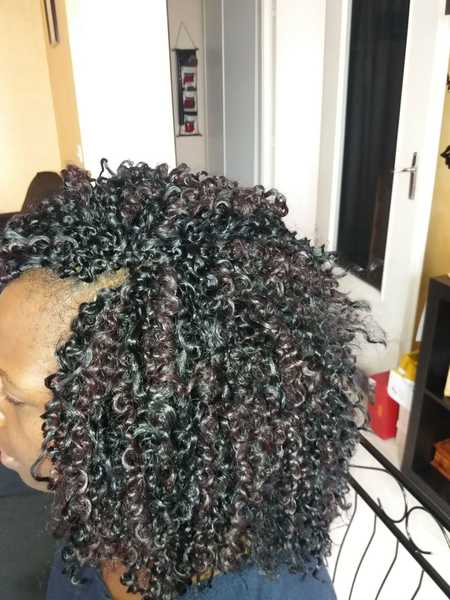 salon de coiffure afro tresse tresses box braids crochet braids vanilles tissages paris 75 77 78 91 92 93 94 95 NSNZQKXU
