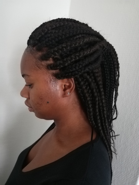 salon de coiffure afro tresse tresses box braids crochet braids vanilles tissages paris 75 77 78 91 92 93 94 95 DMDJFXNB