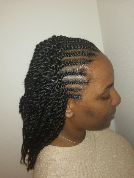 salon de coiffure afro tresse tresses box braids crochet braids vanilles tissages paris 75 77 78 91 92 93 94 95 SVKITZPK