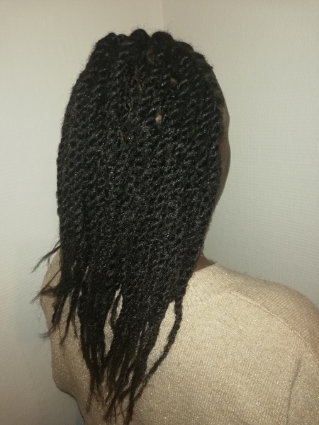 salon de coiffure afro tresse tresses box braids crochet braids vanilles tissages paris 75 77 78 91 92 93 94 95 JNGVTXYD