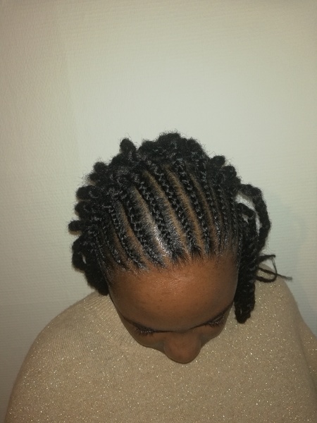 salon de coiffure afro tresse tresses box braids crochet braids vanilles tissages paris 75 77 78 91 92 93 94 95 TMXBNMHU