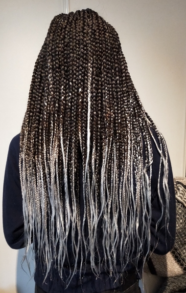 salon de coiffure afro tresse tresses box braids crochet braids vanilles tissages paris 75 77 78 91 92 93 94 95 LFMZEOSS