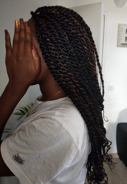 salon de coiffure afro tresse tresses box braids crochet braids vanilles tissages paris 75 77 78 91 92 93 94 95 HZWIELGI