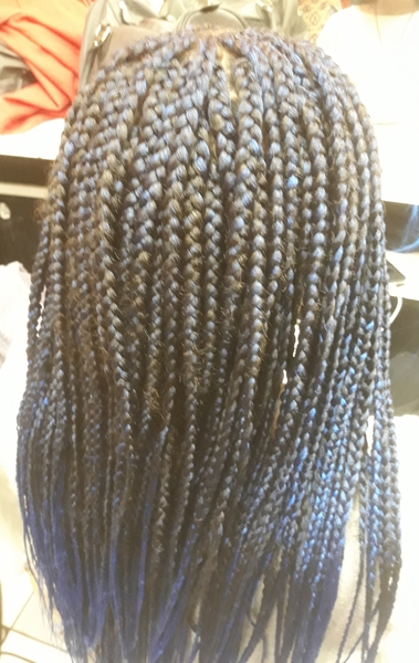 salon de coiffure afro tresse tresses box braids crochet braids vanilles tissages paris 75 77 78 91 92 93 94 95 LNGPSMGU