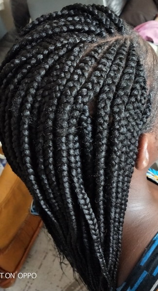 salon de coiffure afro tresse tresses box braids crochet braids vanilles tissages paris 75 77 78 91 92 93 94 95 SWOGMUWF
