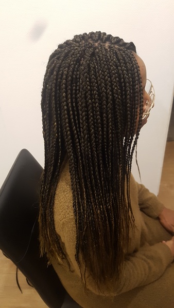 salon de coiffure afro tresse tresses box braids crochet braids vanilles tissages paris 75 77 78 91 92 93 94 95 TYLXRDQP