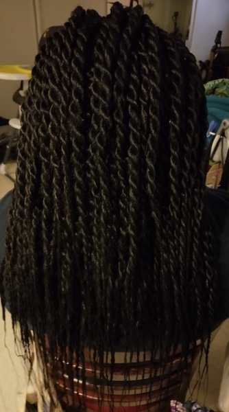 salon de coiffure afro tresse tresses box braids crochet braids vanilles tissages paris 75 77 78 91 92 93 94 95 QCWNTWGW