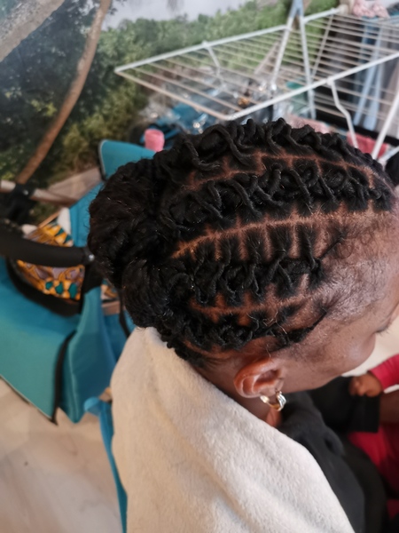 salon de coiffure afro tresse tresses box braids crochet braids vanilles tissages paris 75 77 78 91 92 93 94 95 YRTYEFZB