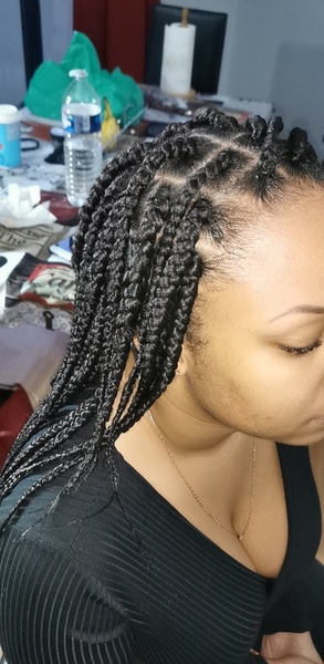 salon de coiffure afro tresse tresses box braids crochet braids vanilles tissages paris 75 77 78 91 92 93 94 95 UIZQBBKE