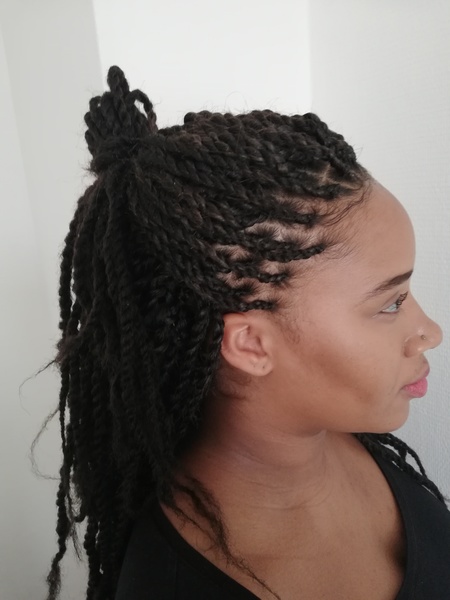 salon de coiffure afro tresse tresses box braids crochet braids vanilles tissages paris 75 77 78 91 92 93 94 95 SEMUNTMB